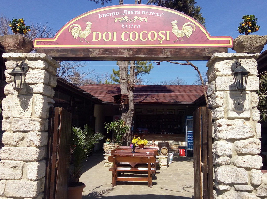 Restaurant Doi Cocosi