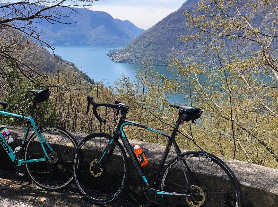 Bike It! Bellagio景点图片