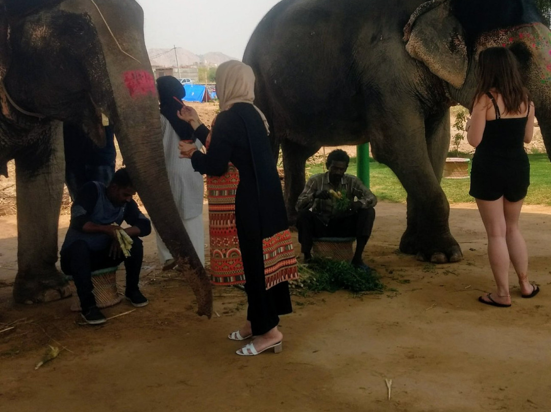 Elefuncity-Amer必去景点