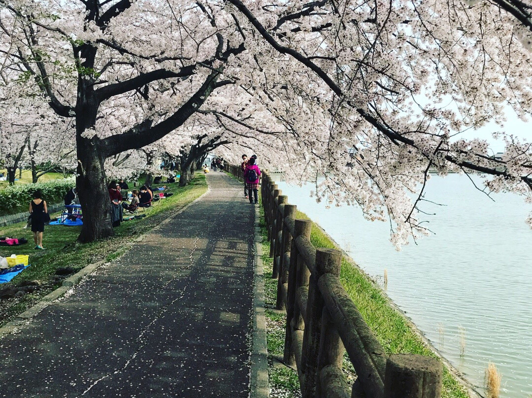 Ishigakiike Park-铃鹿市必去景点
