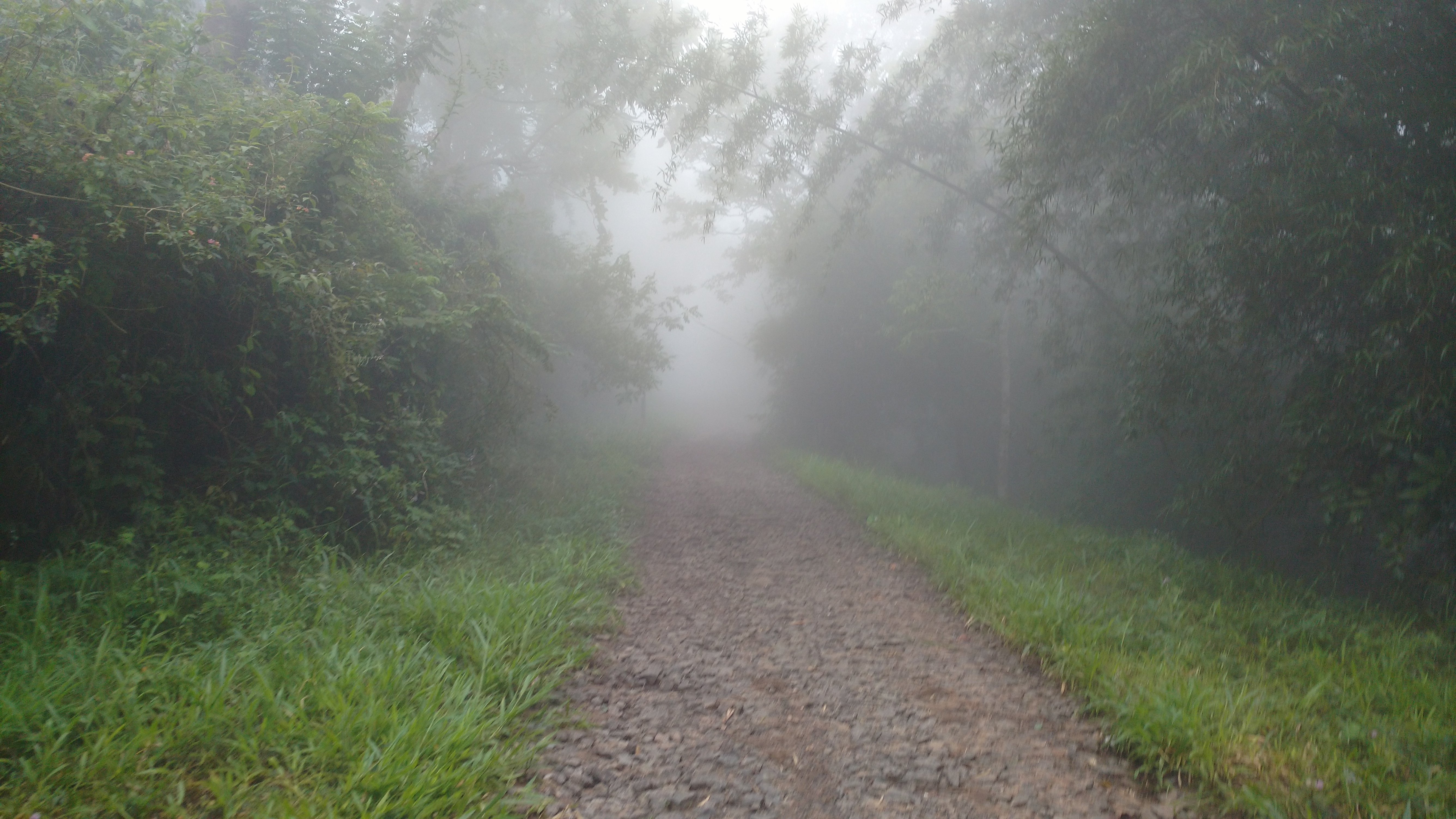 Ventara Resort Thekkady-酒店景观