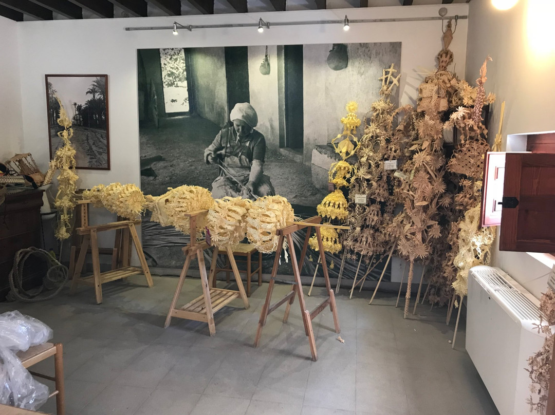 Museu del Palmerar景点图片