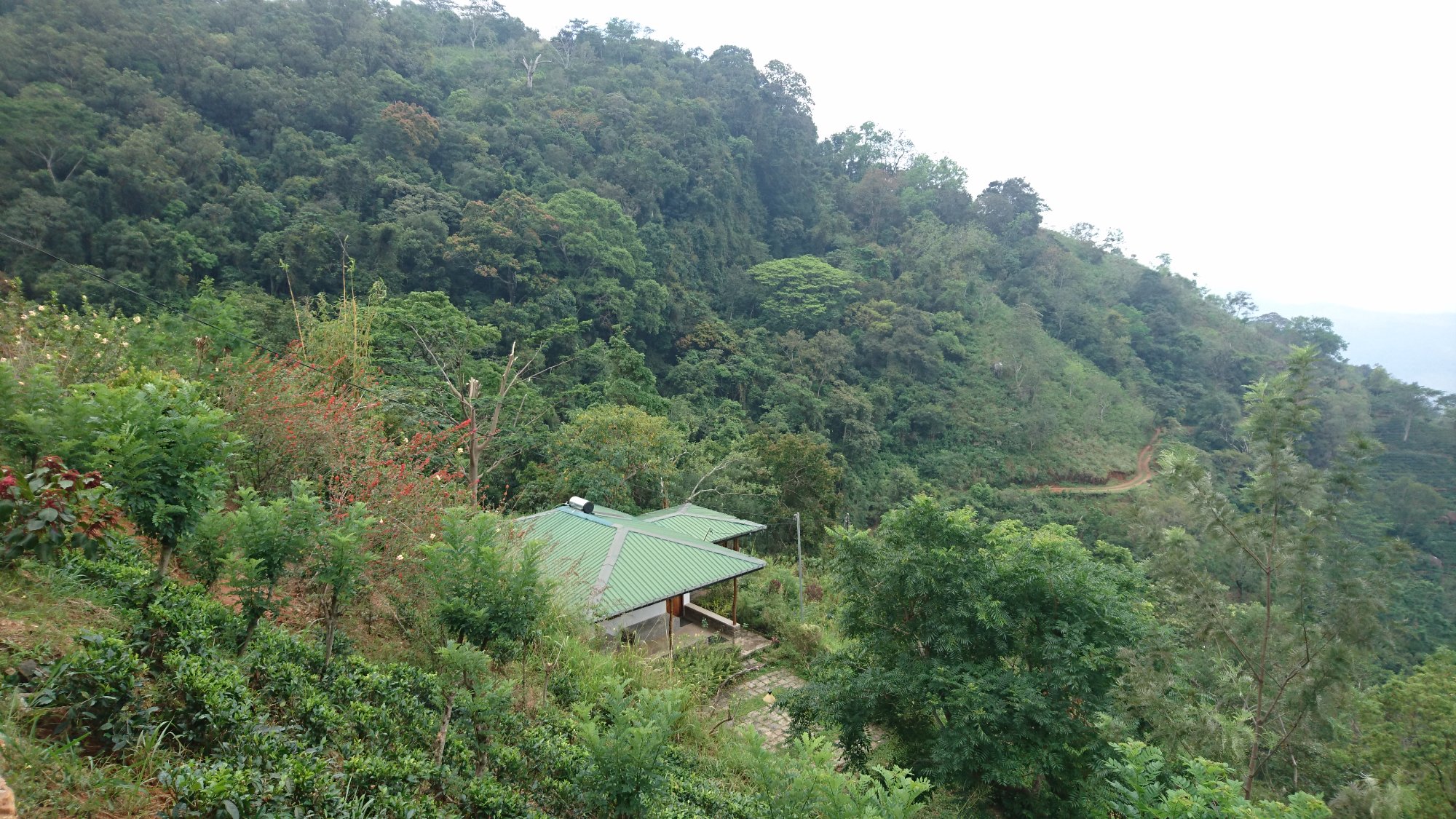 Artist Cottage-官方