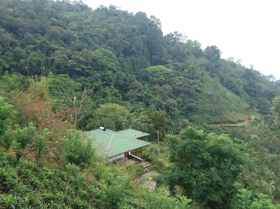 Artist Cottage主图