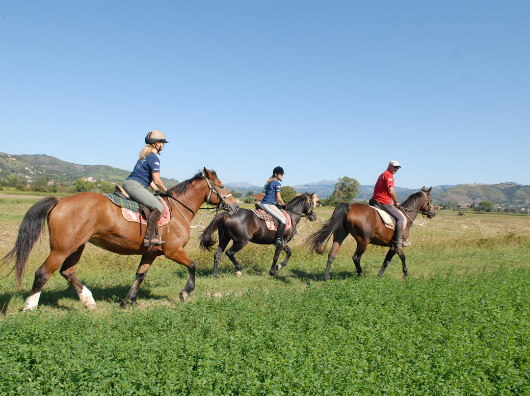 Agriturismo I Moresani, Passeggiate, escursioni e trekking a cavallo.景点图片