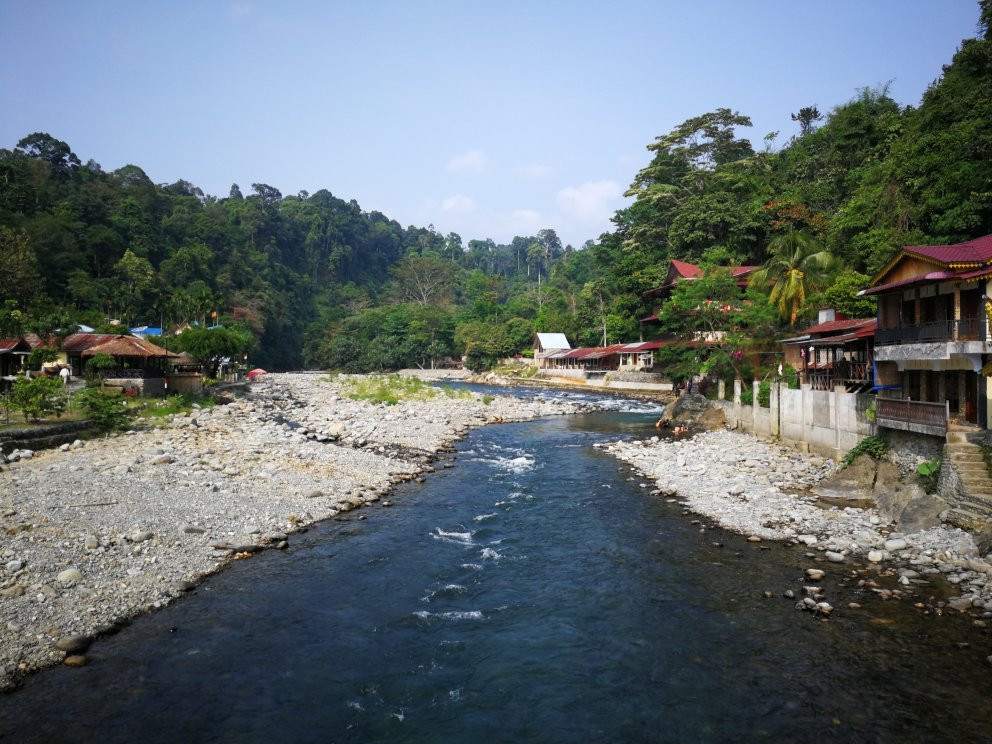 Bukit Lawang Jungle景点图片