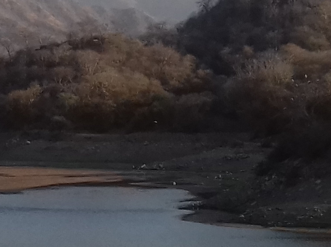Ranakpur Dam景点图片