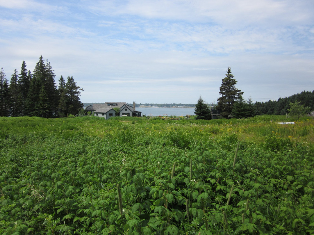 Great Cranberry Island旅游攻略图片