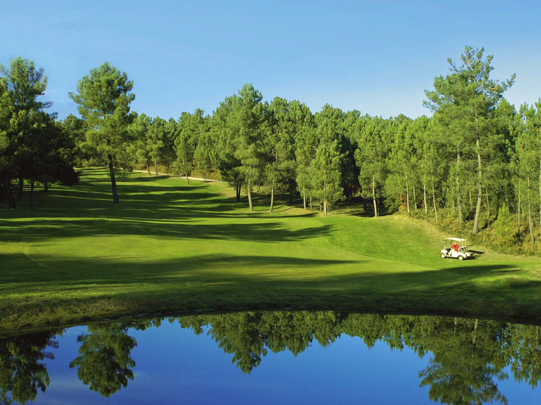 Montebelo Golfe景点图片