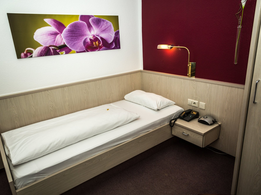 Hotel SoleGARTEN主图