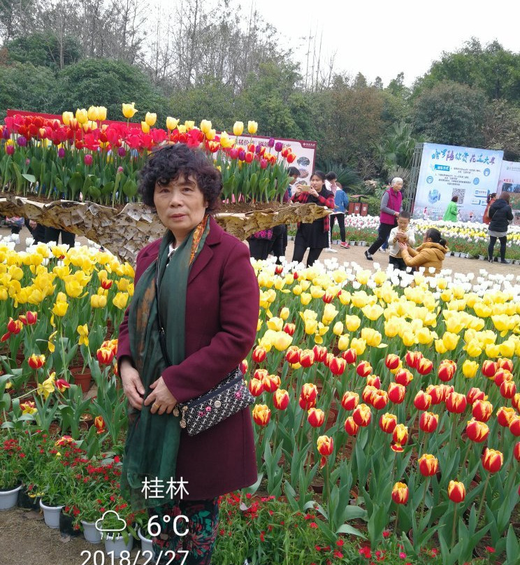 开源森林公园-漯河市必去景点