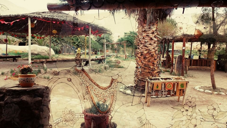 Eco Truly Arica Ecological Farm景点图片