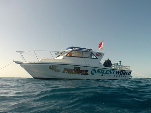 Silent World Dive Center-拉哥岛必去景点