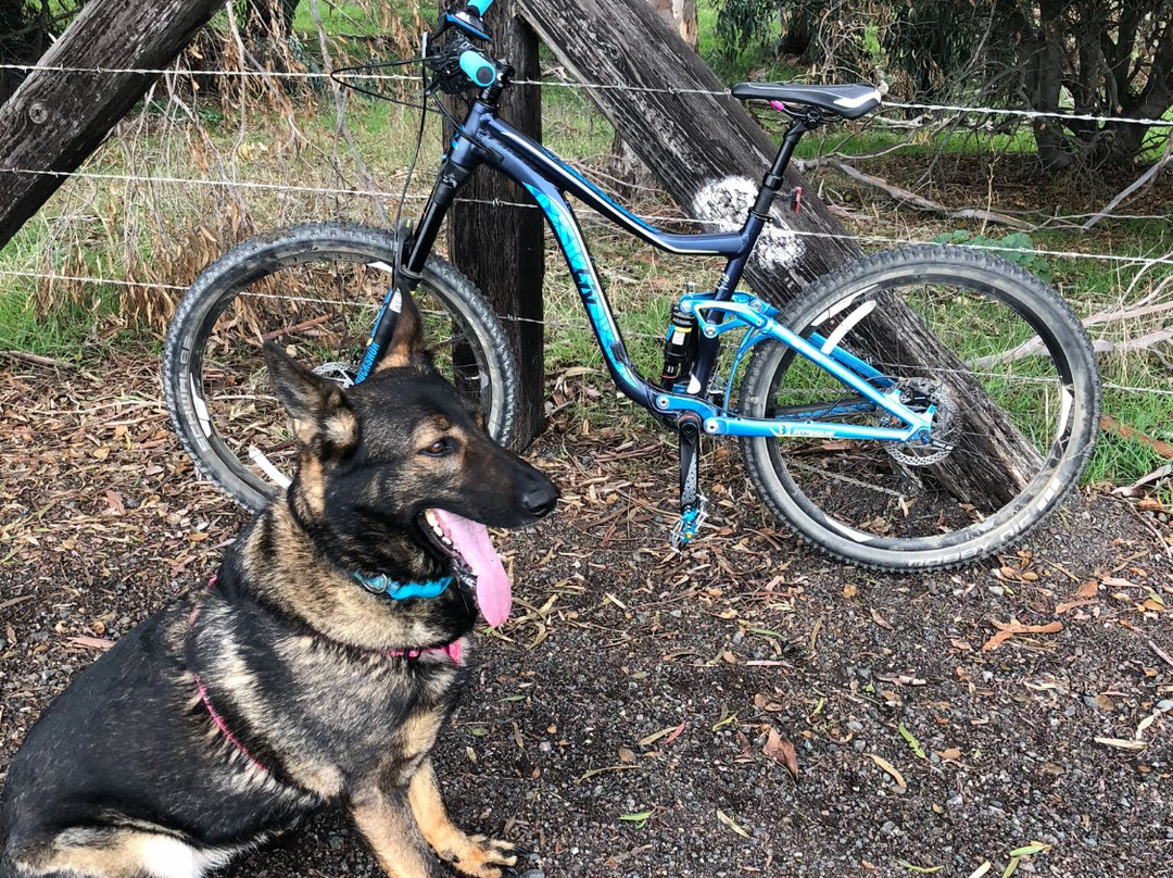 Alameda Creek Trail-费利蒙必去景点