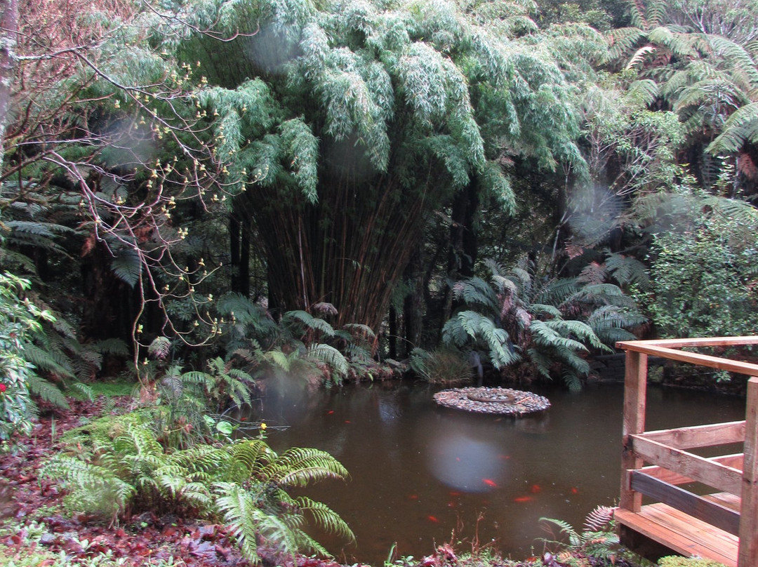Te Popo Gardens景点图片