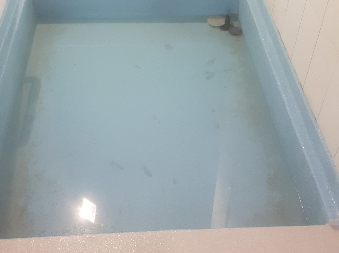 Thalacap  Ile De Ré主图