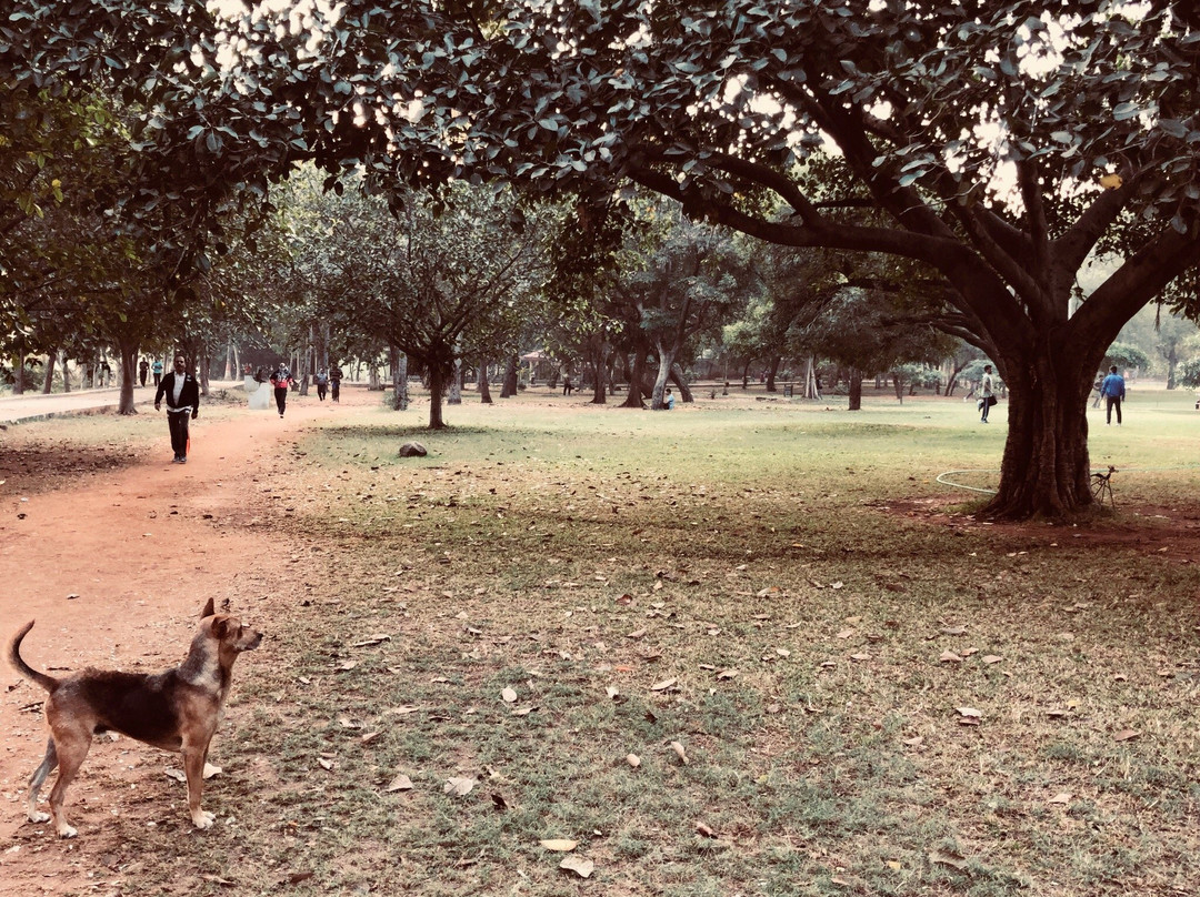 Indira Park景点图片
