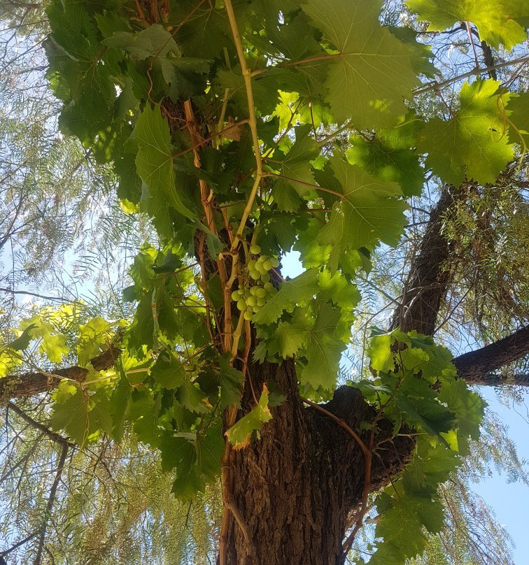 Casa Real-塔里哈必去景点