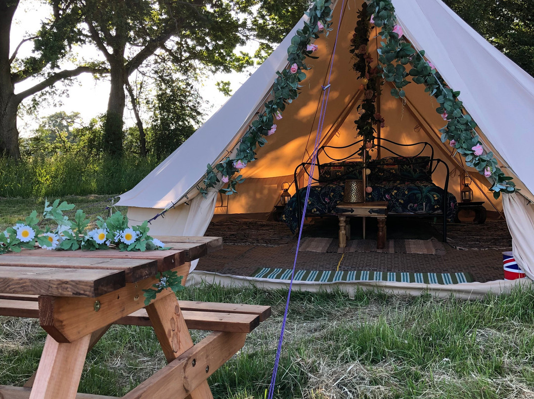 Knoxbridge Glamping And Camping