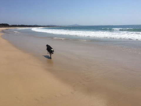 Scotts Head Beach-Scotts Head必去景点