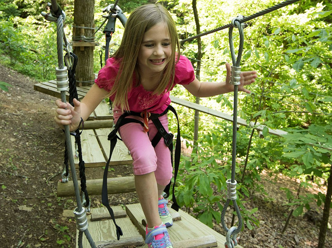 Tree Tops Ropes Course-塞维尔维尔必去景点