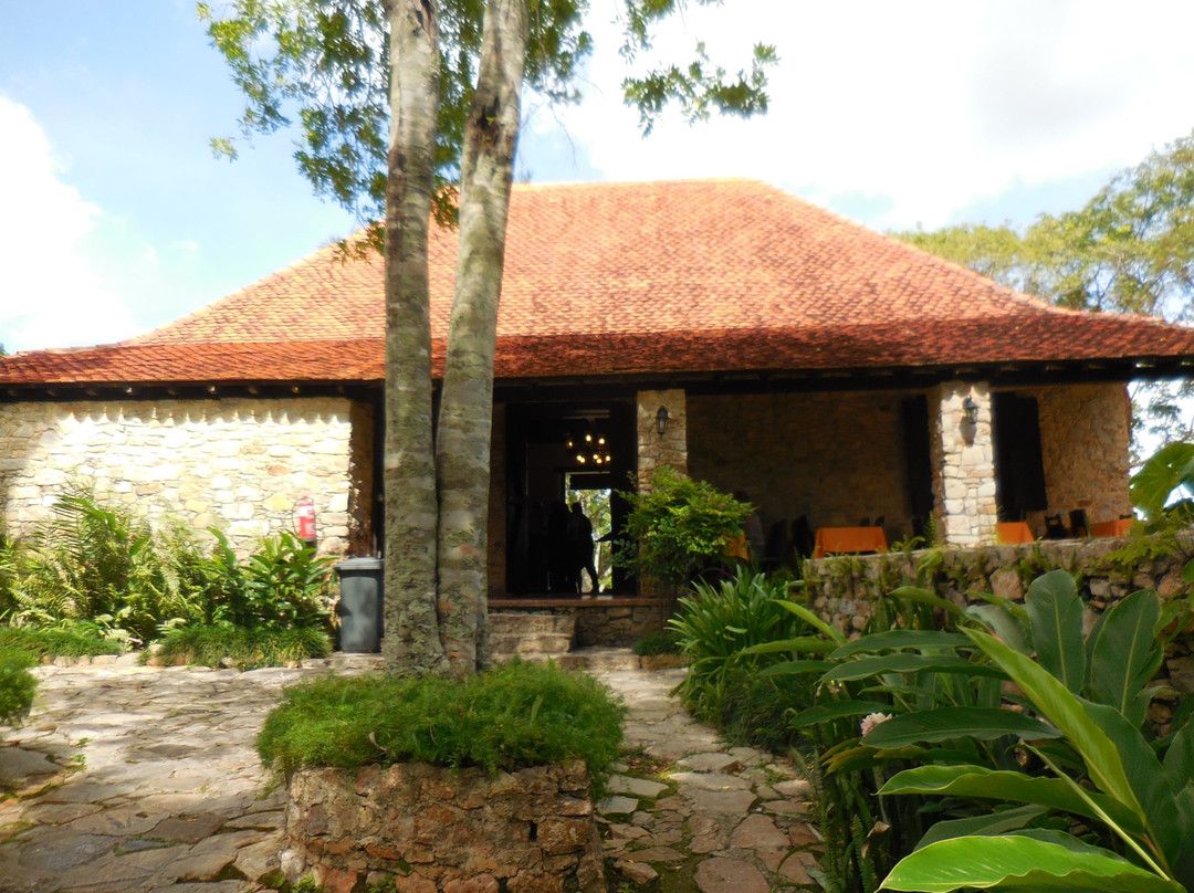 Los Palacios餐馆和美食-Cafetal Buenavista