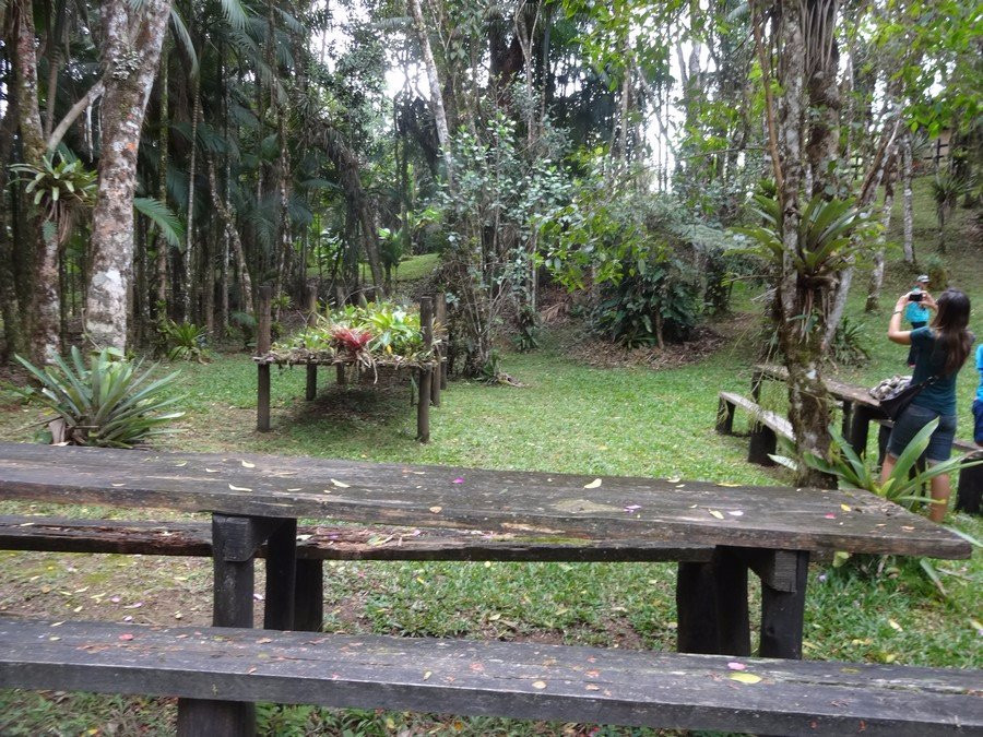 Parque Estadual da Serra do Mar景点图片
