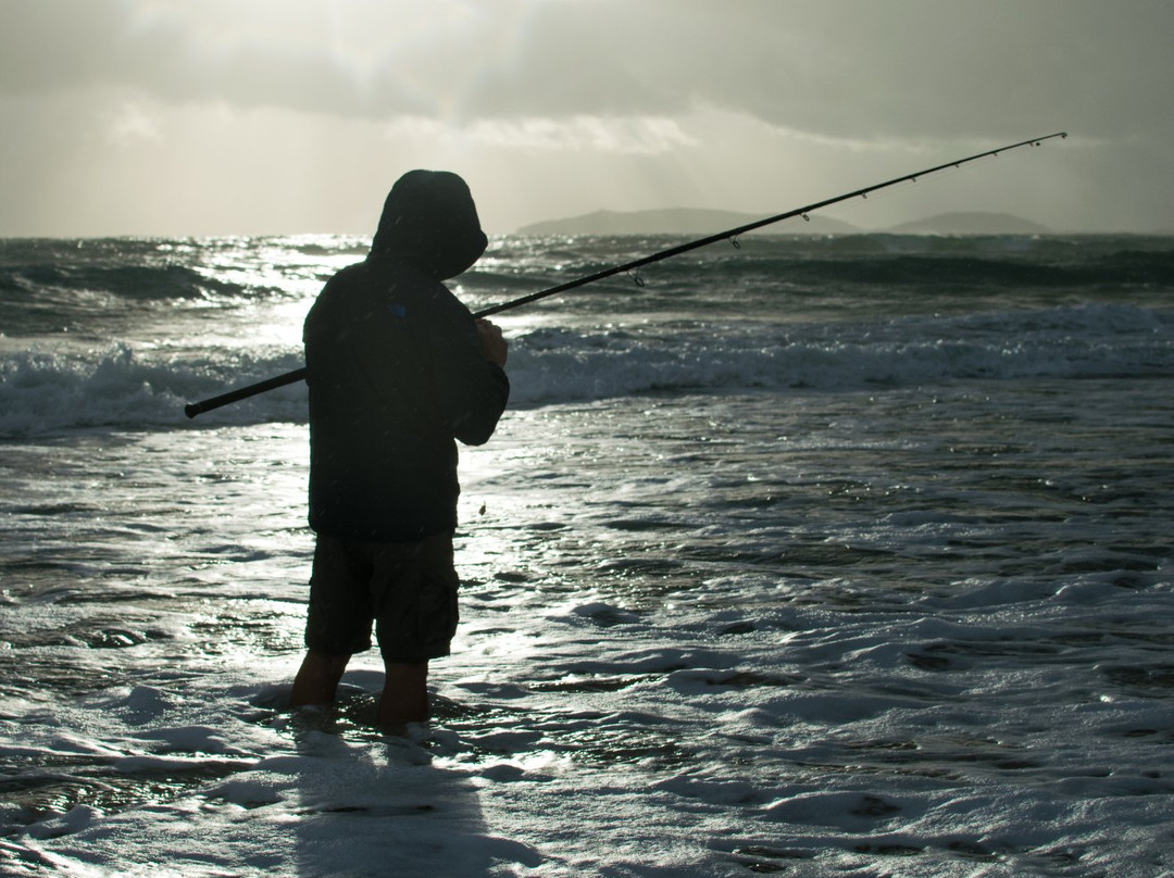 Salty's Fishing Tours景点图片
