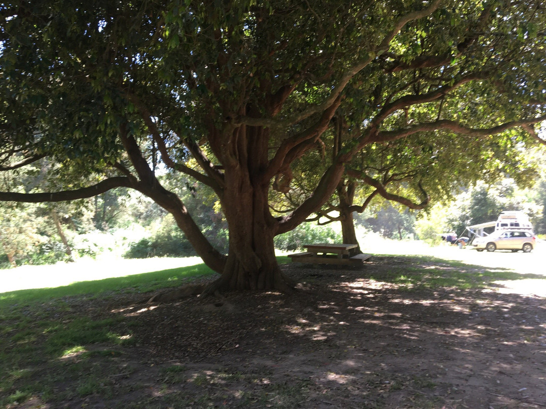 Franklin River Reserve-Toora必去景点