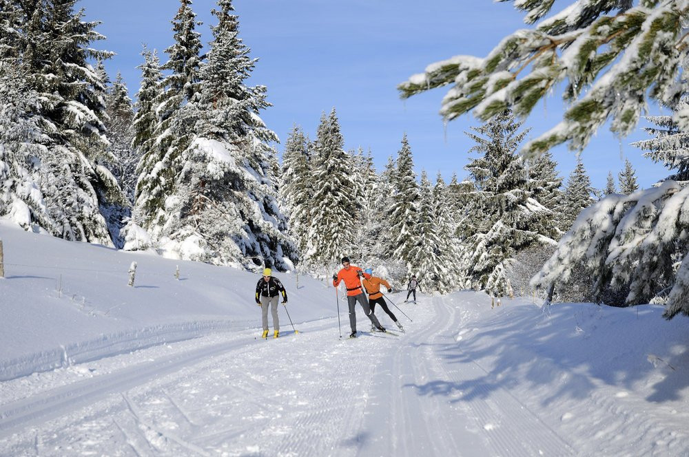 Station de Ski du Lac Blanc景点图片