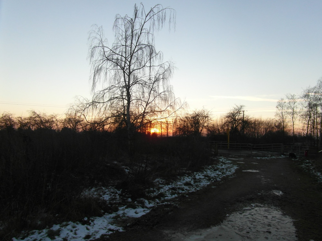 Croxall Lakes景点图片