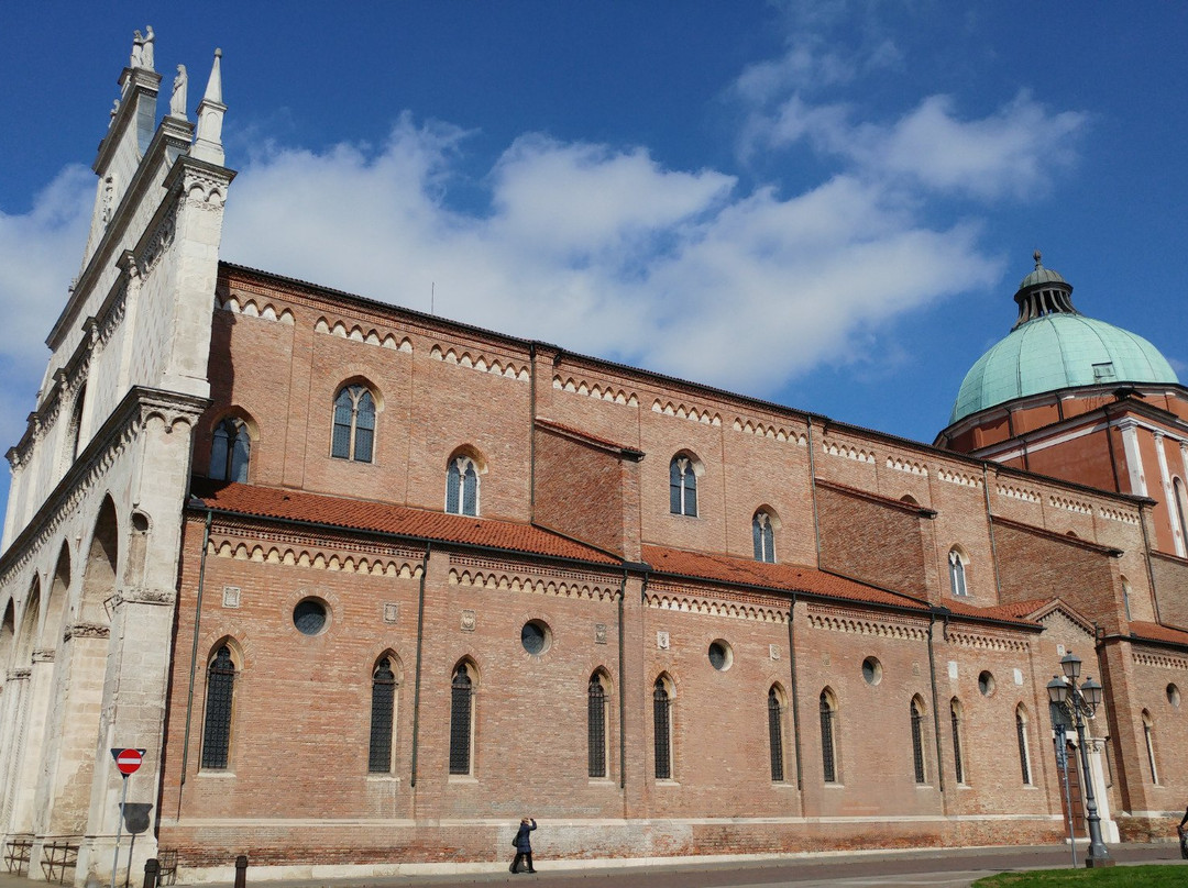 Cattedrale di Santa Maria Annunciata (Duomo di Vicenza)景点图片
