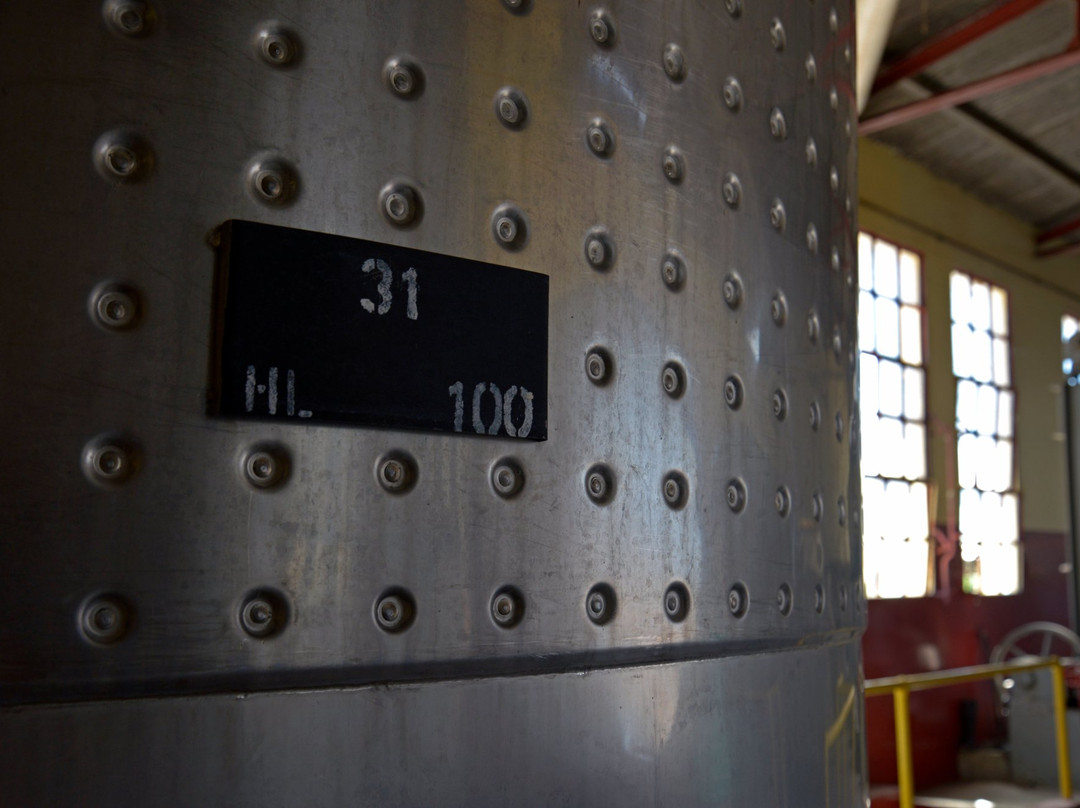 Bodega La Vendimia S.A.-圣拉斐尔必去景点