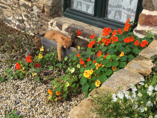 Neuilly-le-Vendin旅游攻略图片