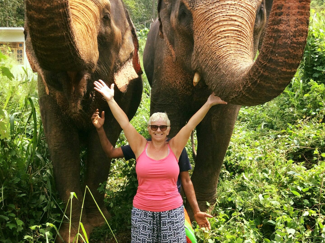 Elephant Freedom Project