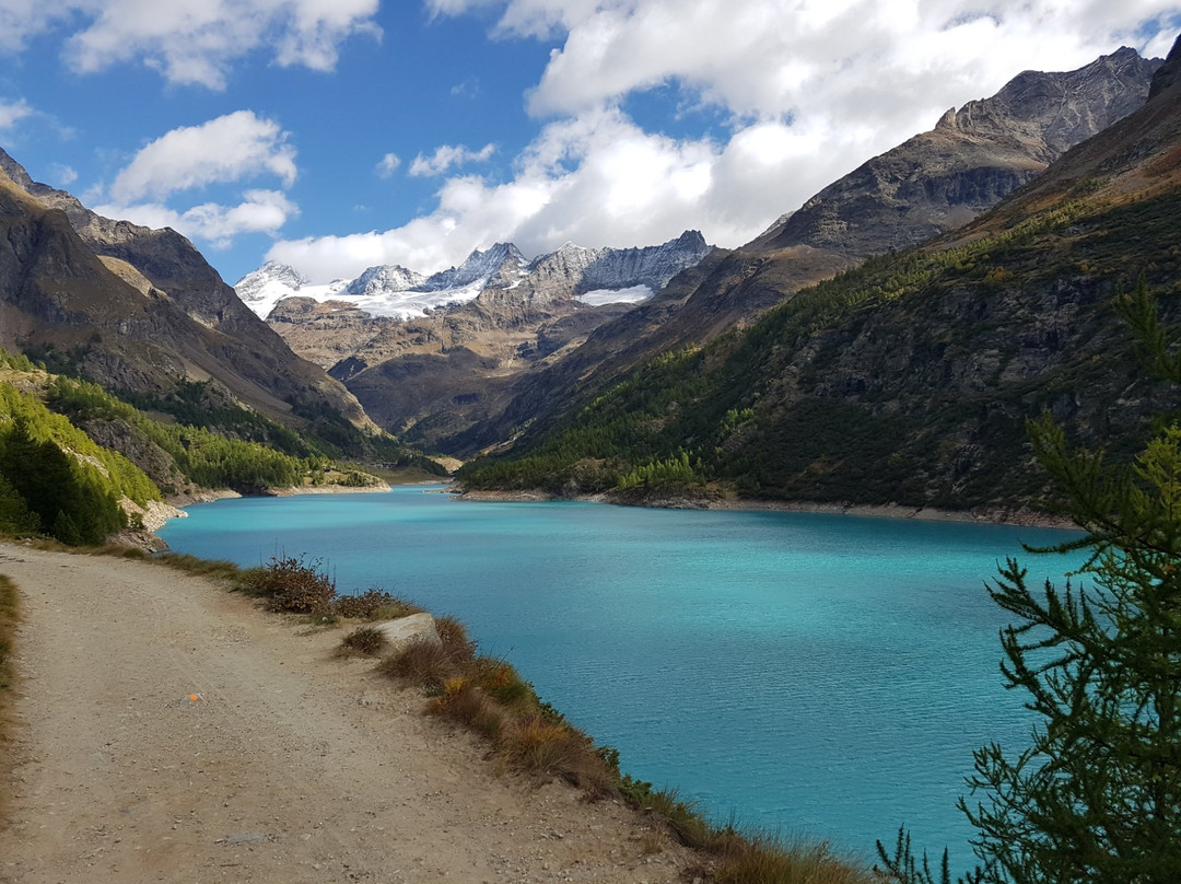 Bionaz旅游攻略图片