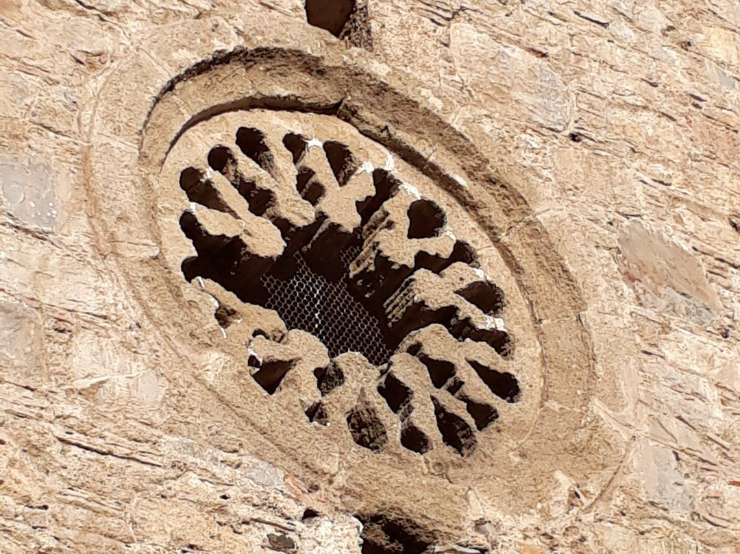 Dalyan Cami景点图片