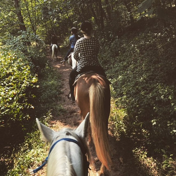 Magic Mountain Farm-温切斯特必去景点
