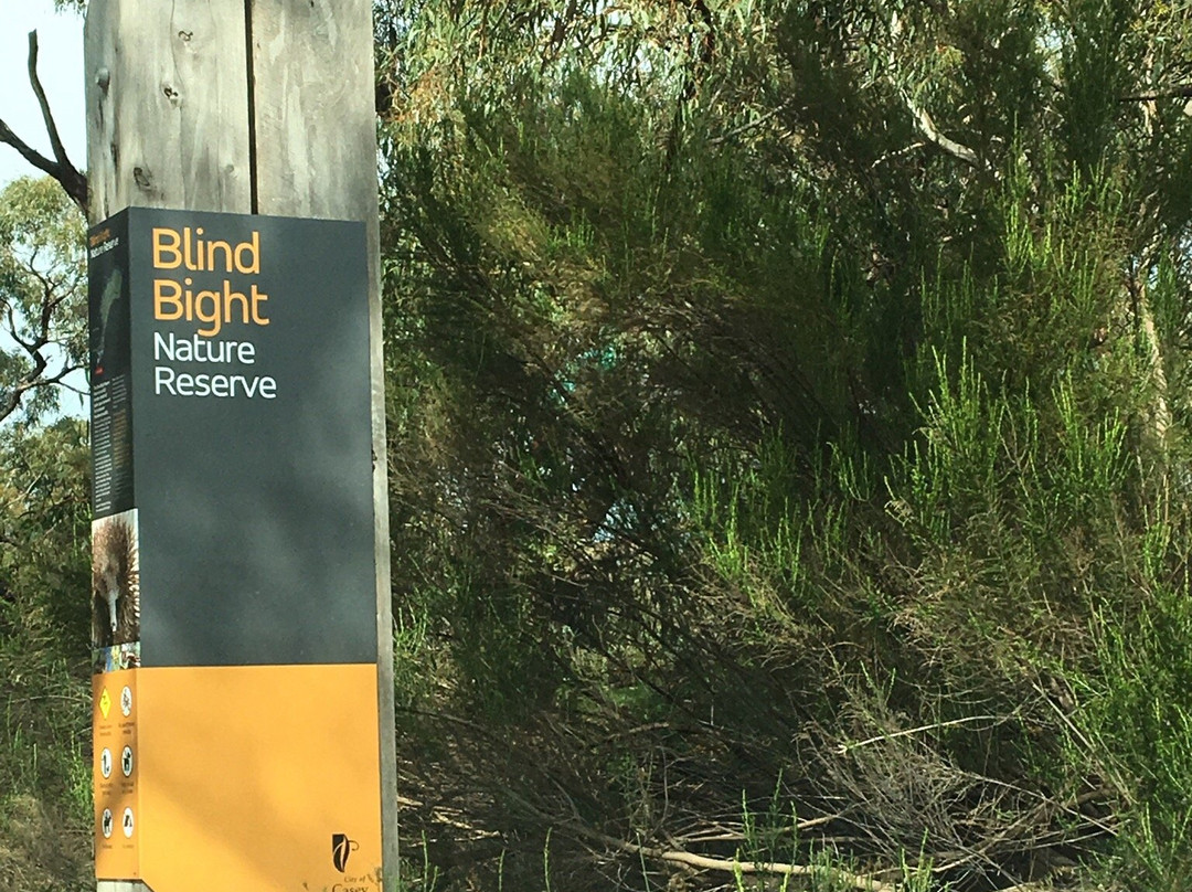 Blind Bight Nature Reserve景点图片