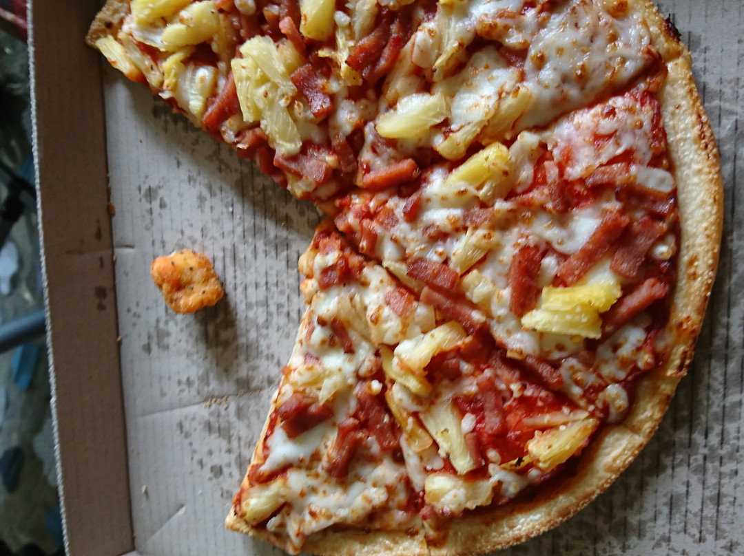 Domino's Pizza Hastings West NZ - City