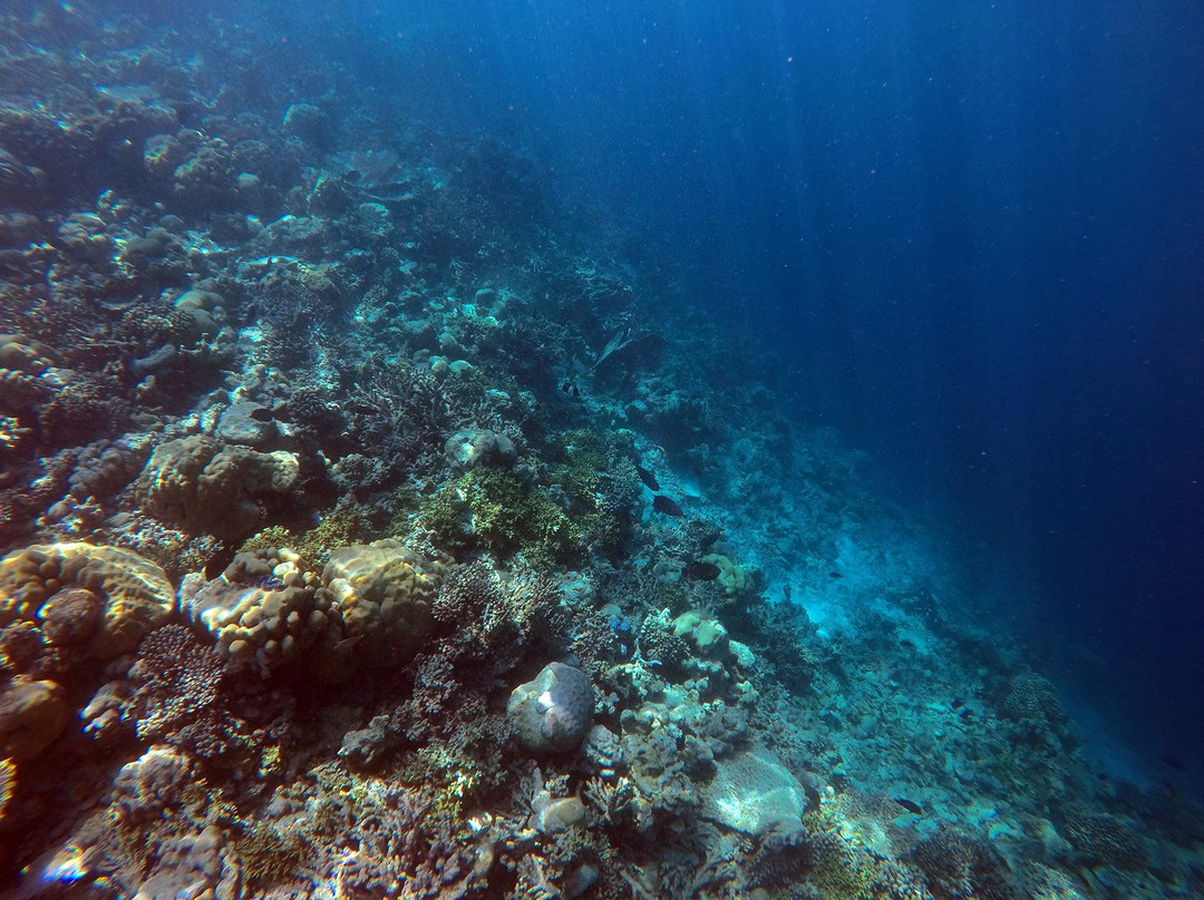 Euro-Divers The Residence Maldives-Falhumaafushi必去景点