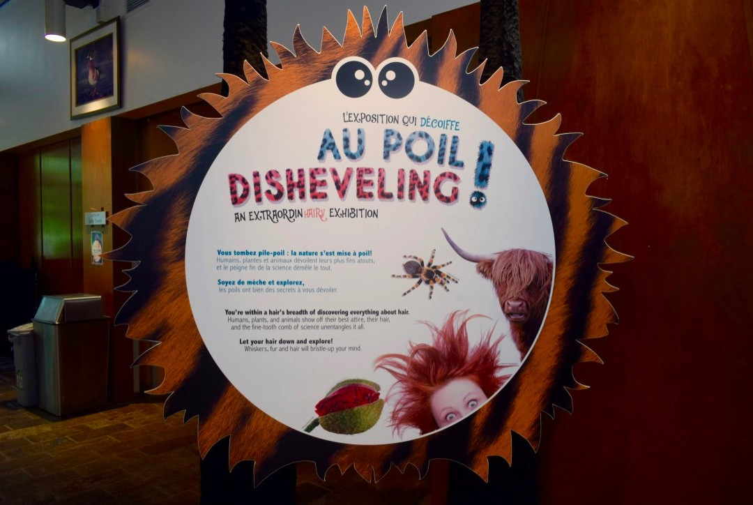 Musee de la nature et des sciences-舍布鲁克必去景点