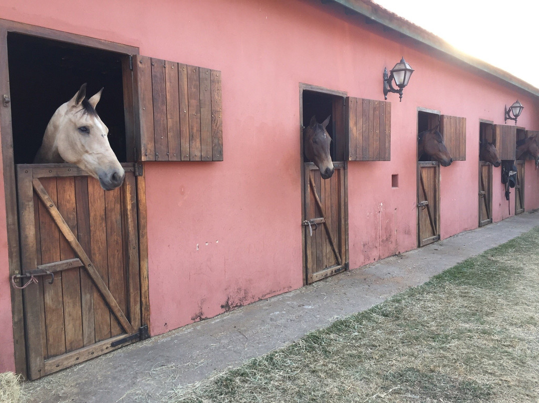 Hipica Centaurus-Tatui必去景点
