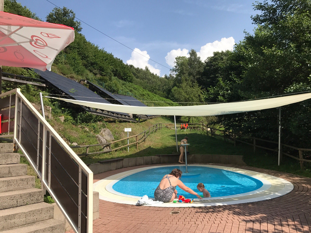 Schwimmbad Reichental景点图片