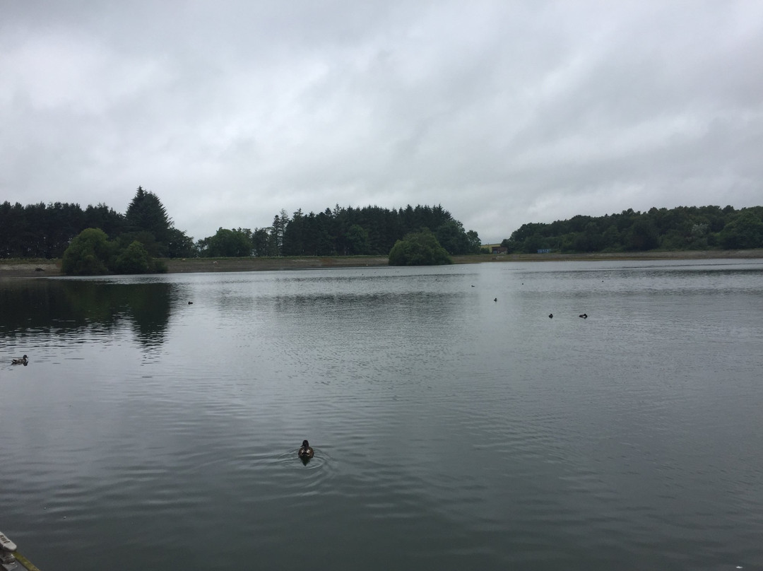 Birkhill旅游景点-Clatto Country Park