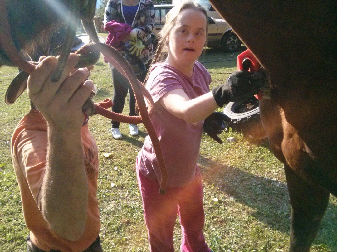 West Kootenay Tours-Salmo必去景点