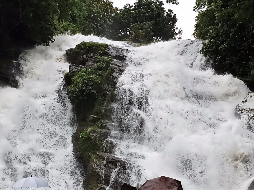Charpa Waterfall景点图片