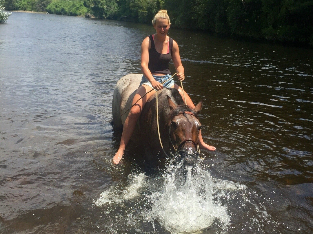 Rangihau Ranch-Coroglen必去景点