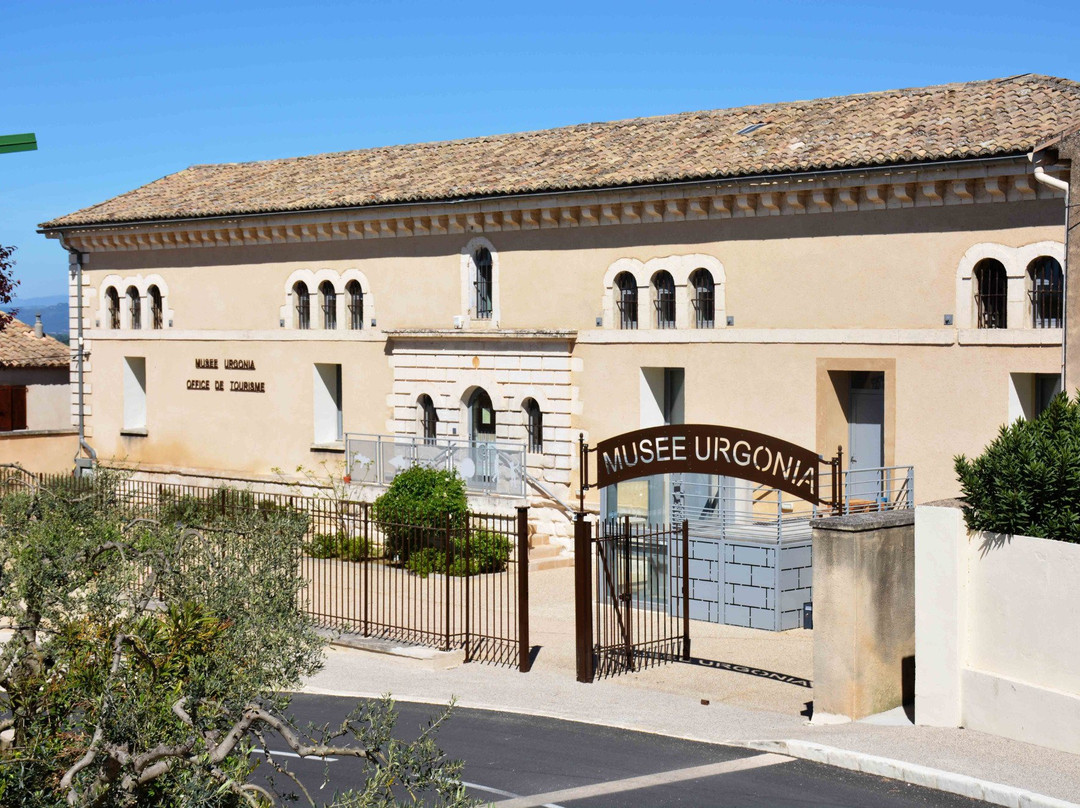 Musée Urgonia景点图片