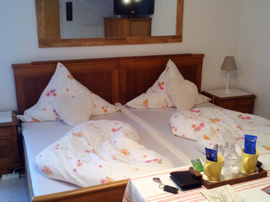 Neuastenberg酒店住宿-Haus Hanjopkes